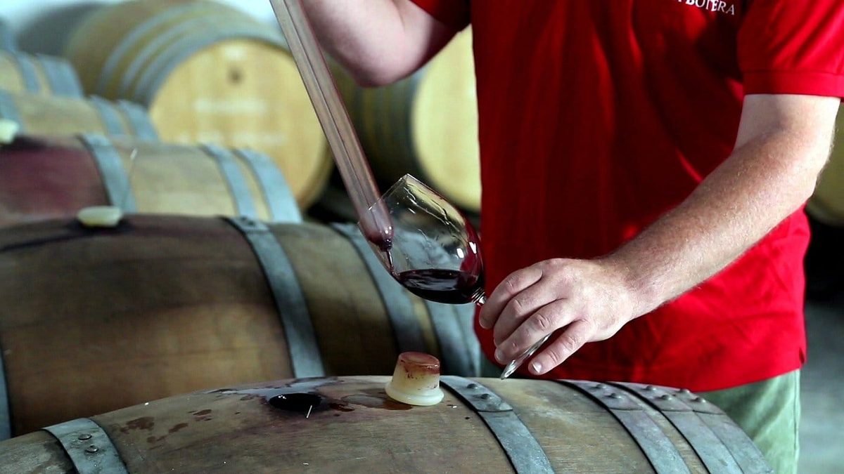Celler La Botera winery in Cataluña — cellar and vineyards (photo 1)
