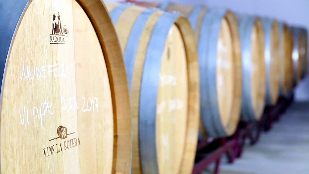 Celler La Botera winery in Cataluña — cellar and vineyards (photo 2)