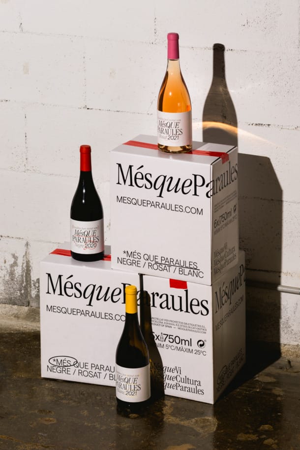 PROYECTOS SIN ETIQUETAS winery in Galicia — cellar and vineyards (photo 3)