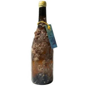 Mar de Batea Blanc, Garnacha Blanca zrající pod vodou z Terra Alta, láhev pokrytá mořskými prvky.